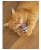 Игрушка для кошек Fancy Pets "Мышь" 7см